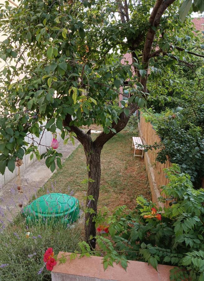 Apartman Mala Cici Apartment Zadar Luaran gambar